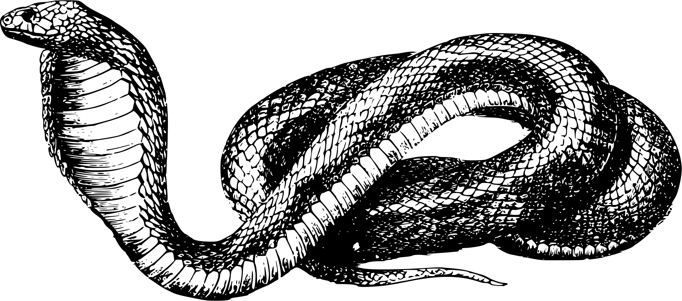 Learning Python for Offensive Security logo